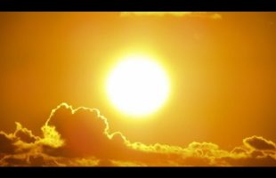 The Sun – Bill Cooper