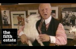 Dog IQ List (1998) – the fifth estate