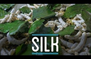 Silk from Scratch | How To Make Everything: Suit (6/10)