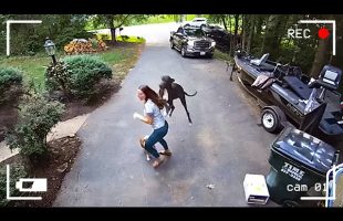 40 Incredible Moments Caught on CCTV Camera
