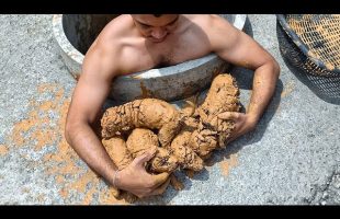 He Didn’t Expect This! By Only Removing The Dirt, Guy Realized Who He Saved