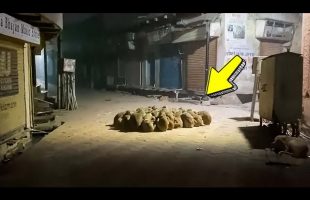 Strange Thing Was Captured On Camera In The Middle Of a Dark Street