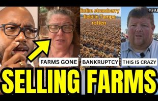 Farmers Are FORCED To Sell Their Land After INSANE Trump Policies