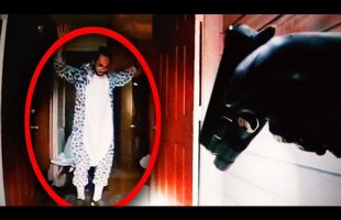 Furry Tries to Kill Roommate While Wearing Cat Suit