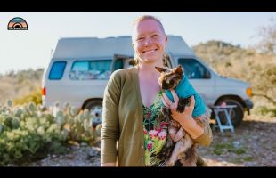 Solo Female Van Life – Spacious Ford Camper Van