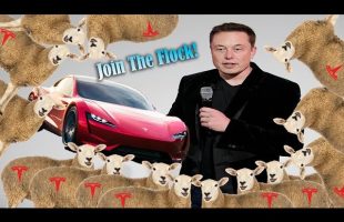 Elon Calling his Sheep to buy his New Toys!