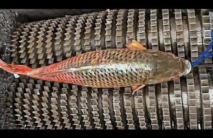 Production Processes That Make Hair Stand on End