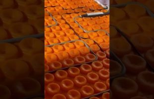 DITRA-HEAT for Tile Floors