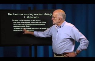 1.2 – Evolutionary Thinking: Random Evolution, The Role of Chance