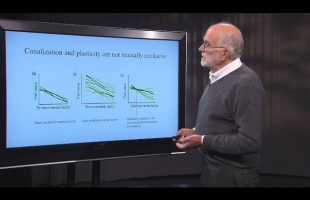 2.6 What is a patient? – Reaction Norms and Phenotypic Plasticity