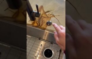 Planning your Kitchen Sink