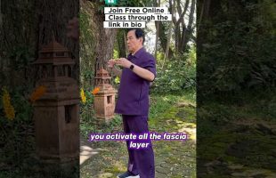 FREE Online Class on Qigong by Master Mantak Chiaš„