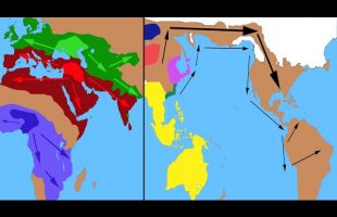 The Genetics of Prehistory.