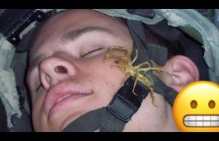 Marine Corps Stories: So Many SPIDERS