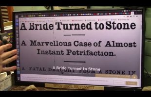 A Bride Literally Turned to Stone In Hours and Yale Now Agrees With Me it can Happen That Quick