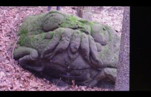 Ancient Extraordinary Creatures