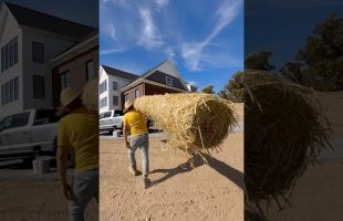 The Best Way To Put In A New Yard