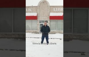 Alberta library caught up in culture war | The Fifth Estate