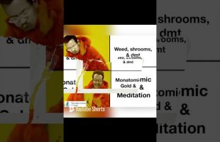 DMT Shrooms Weed OR Monatomic Gold and Meditation?  The Choice is YOURS! – Dr Delbert Blair