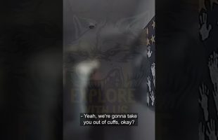 12 Year Old Does the Unthinkable to Her Little Brother