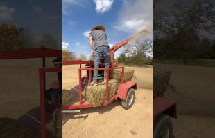 I Saved Money By Seeding The Septic Field Myself