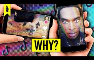 Should We Be Afraid of TikTok?