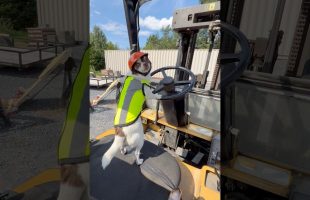 How To Ruin 100 Days of Safety In 3 Seconds