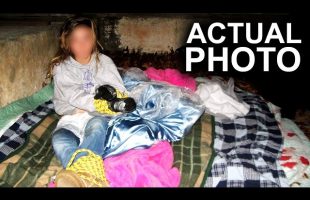 The Horror Inside the Hollowed Tree