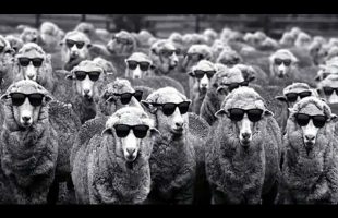 How They Hate To Hear The Truth – Bill Cooper