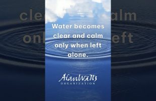 Alan Watts quote from ‘Zen & Meditation: Art of Meditation’ #alanwattsquotes #alanwattswisdom