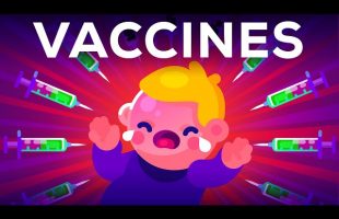 The Side Effects of Vaccines – How High is the Risk?