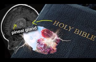 OMG! The Bible gives PRECISE INSTRUCTIONS about the PINEAL GLAND