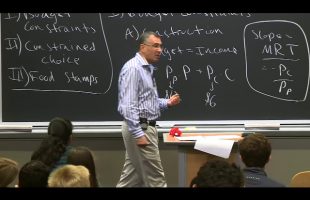 3. Budget Constraints and Constrained Choice