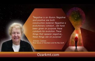 5 Minute Mindfulness Exercise Embracing Every Experience