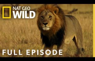 Queen of the North (Full Episode) | Savage Kingdom