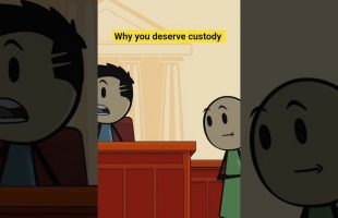 Why you deserve custody #animation #animation #customer #court