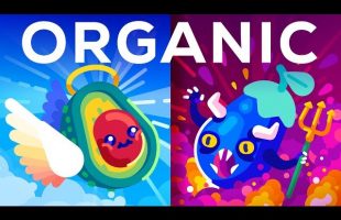 Is Organic Really Better? Healthy Food or Trendy Scam?