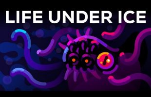 Aliens under the Ice – Life on Rogue Planets