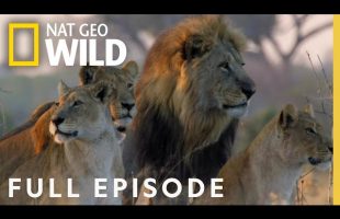 Win or Die (Full Episode) | Savage Kingdom