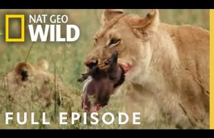 The Rebel Army (Full Episode) | Savage Kingdom