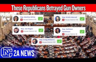 PA Republicans Help Democrats Pass Gun Control Bill