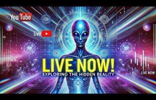 Simulation Talk #248