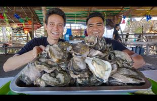 Philippines OYSTER MOUNTAIN!! Best Filipino Food + Fresh Eels in Cebu!!