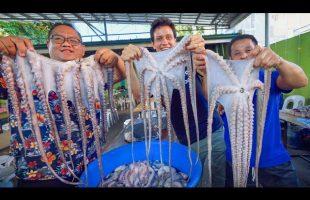 200 Kilos of Fish!! UNSEEN FILIPINO SEAFOOD – Freshest Adobo Octopus in Cebu, Philippines!