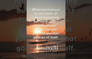 Alan Watts quote from Conversation with Myself