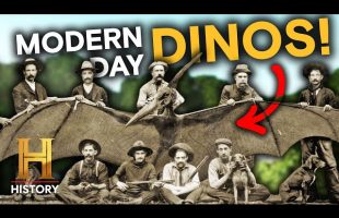 Undiscovered Dinosaurs Revealed | The Proof Is Out There | History