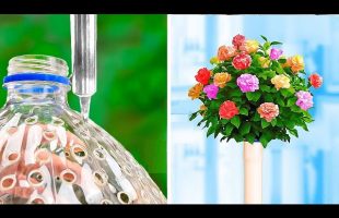 Unexpected Gardening Hacks and Plastic Bottle Craft Ideas for Plants🍀