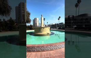 Walk with Me | Rodeo Drive