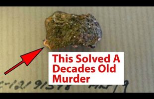 5 Cold Cases Solved Years Later | True Crime Documentary