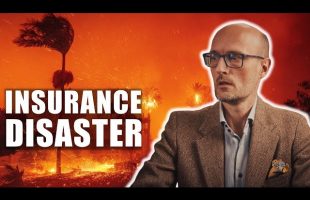 The Economic Toll of The Los Angeles Wildfires